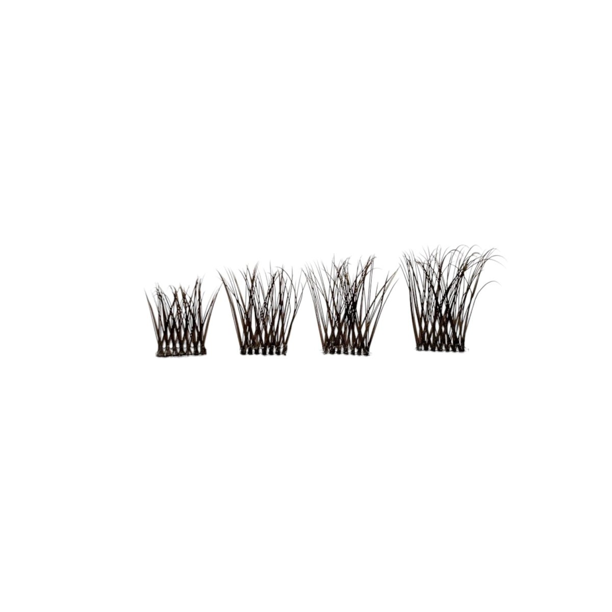 BN1 | BROWN NATURAL - Lavaa Beauty