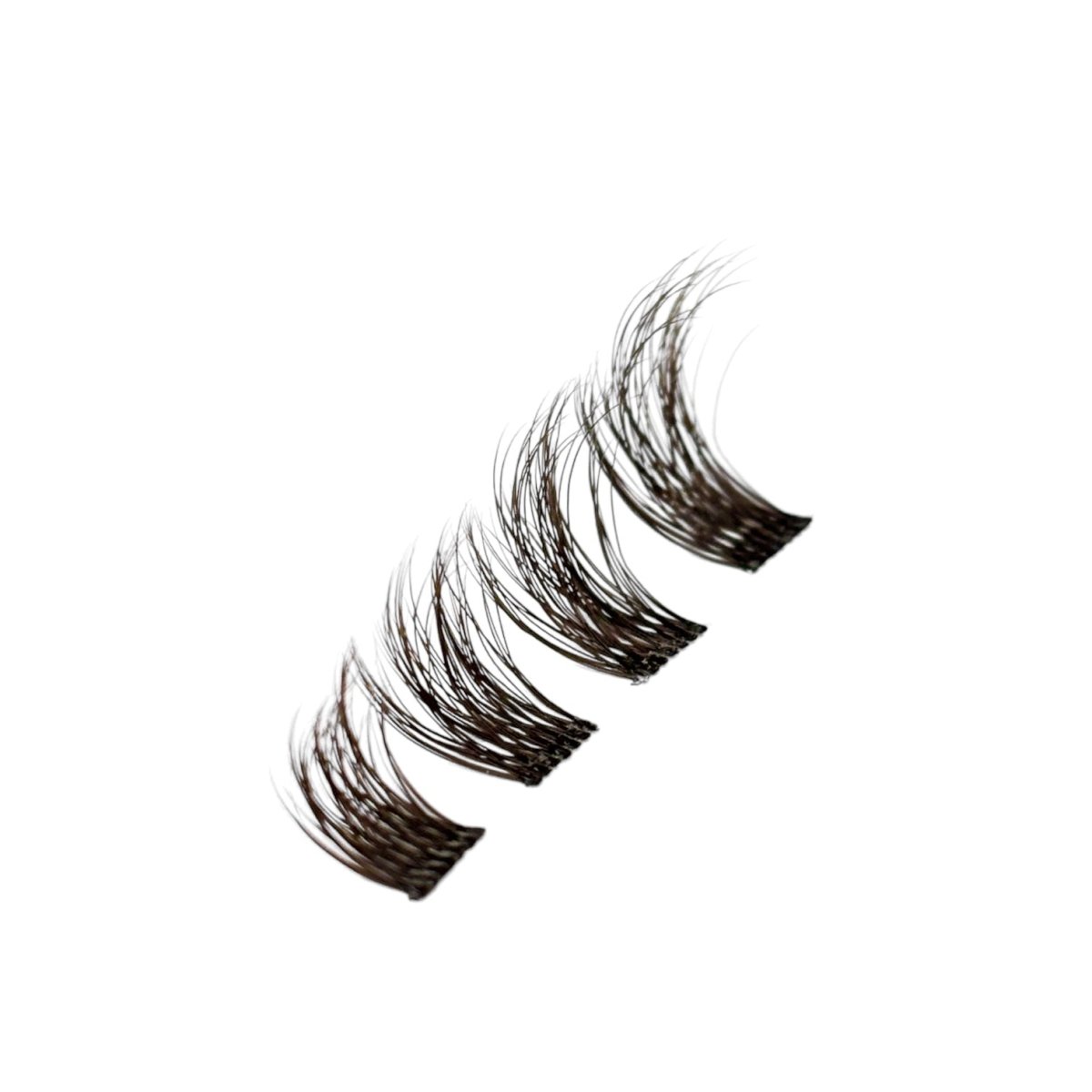 BN1 | BROWN NATURAL - Lavaa Beauty