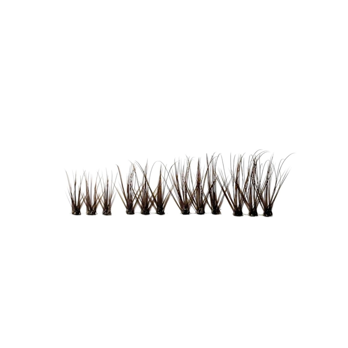 BW2 | BROWN WISPY - Lavaa Beauty