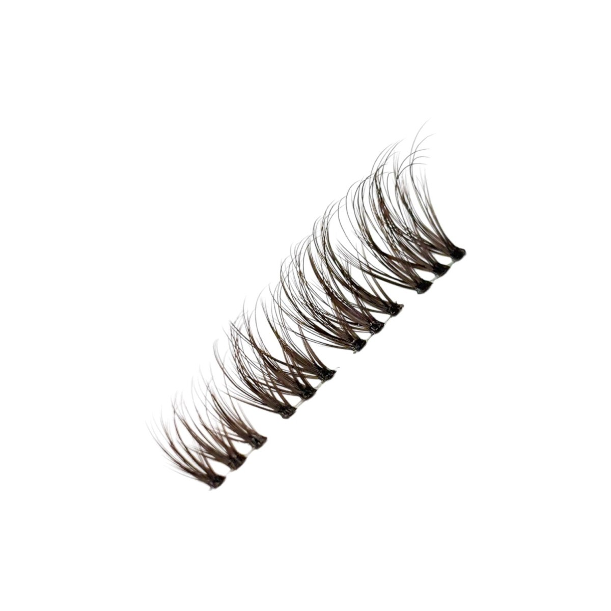 BW2 | BROWN WISPY - Lavaa Beauty