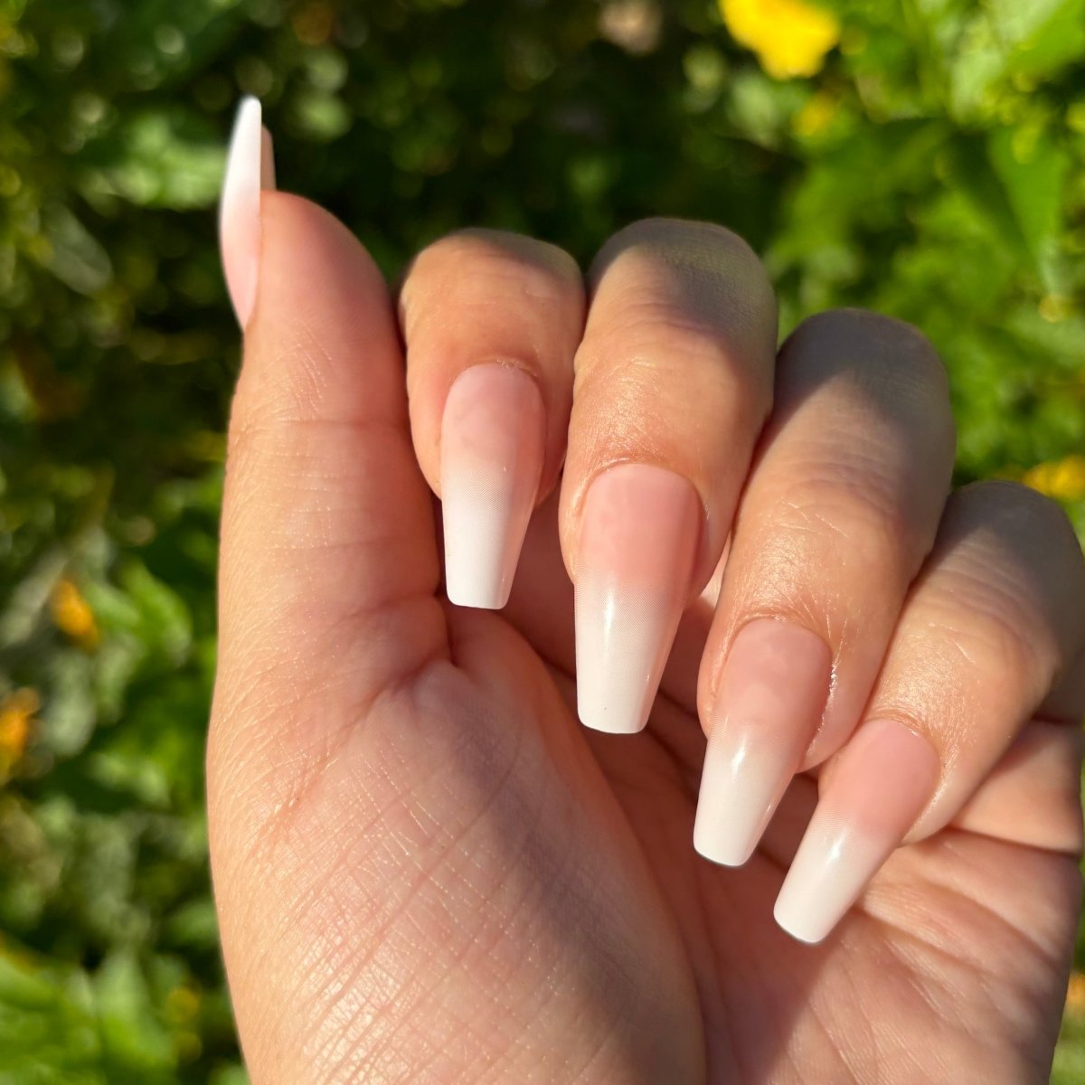 Ombre French - Lavaa Beauty