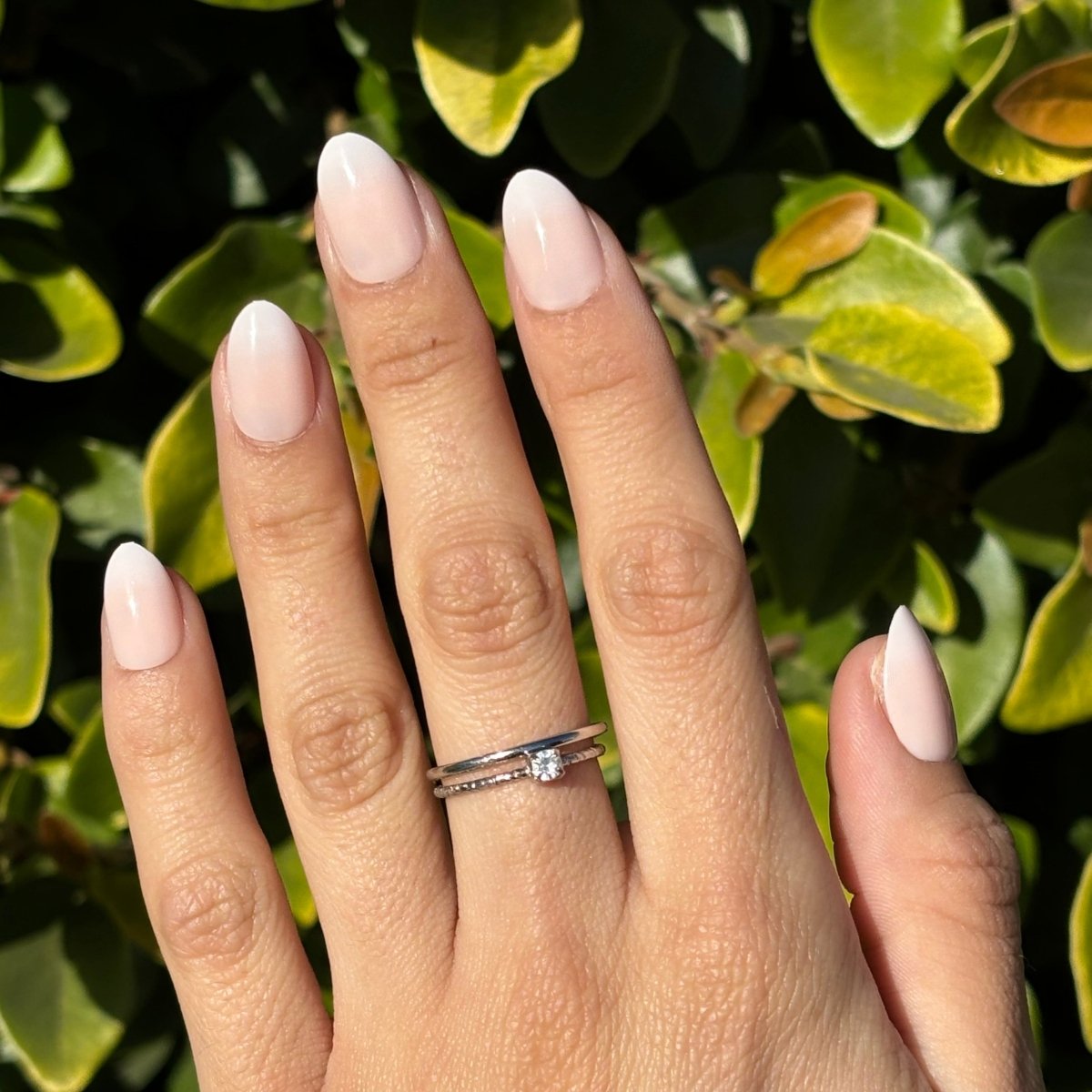 Ombré Mood - Lavaa Beauty