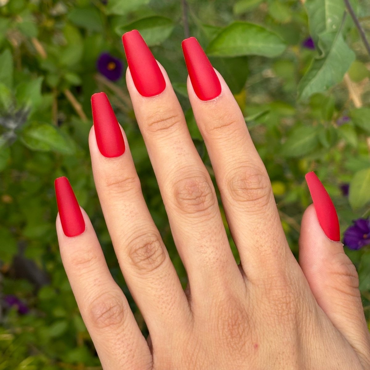 Red Coffin - Lavaa Beauty