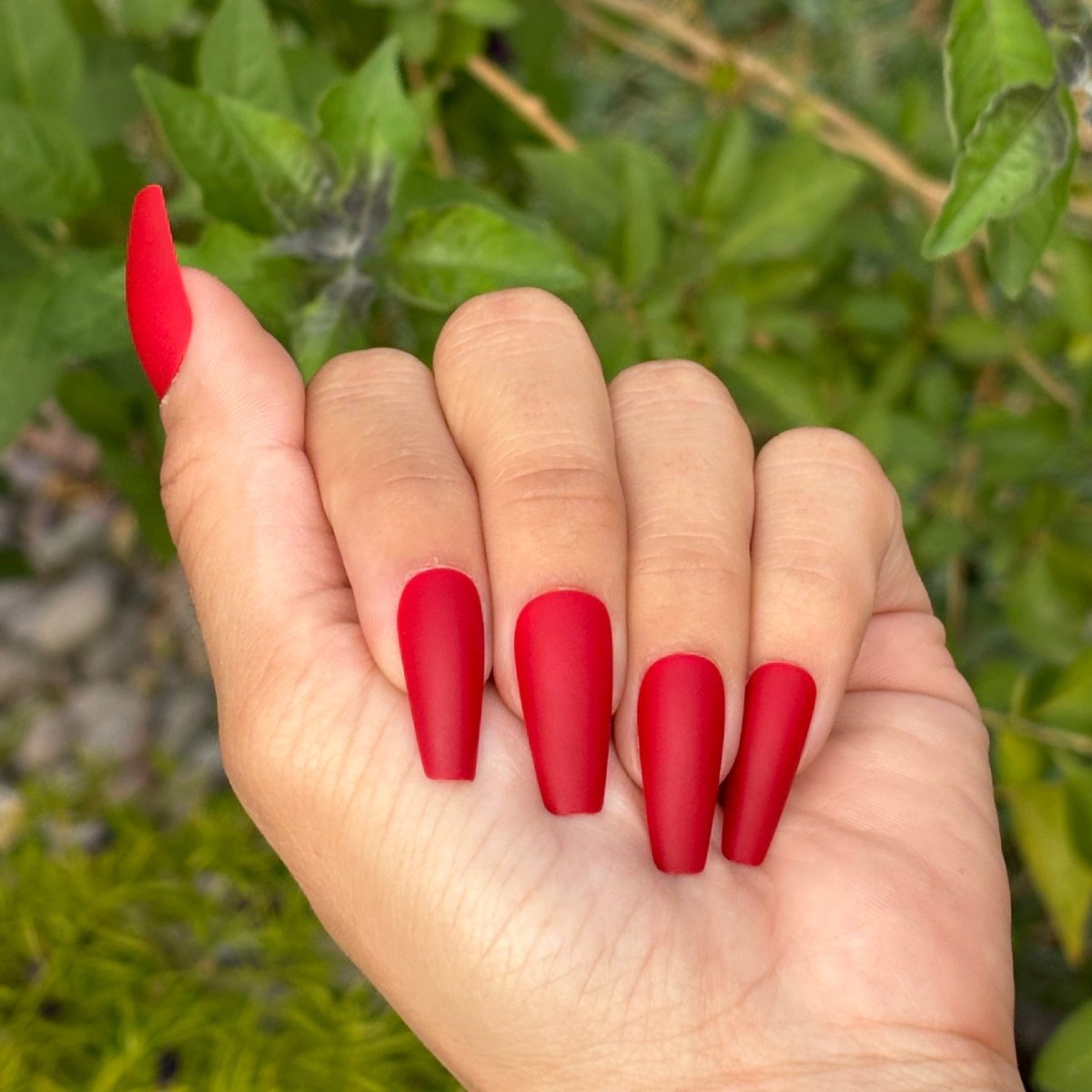 Red Coffin - Lavaa Beauty
