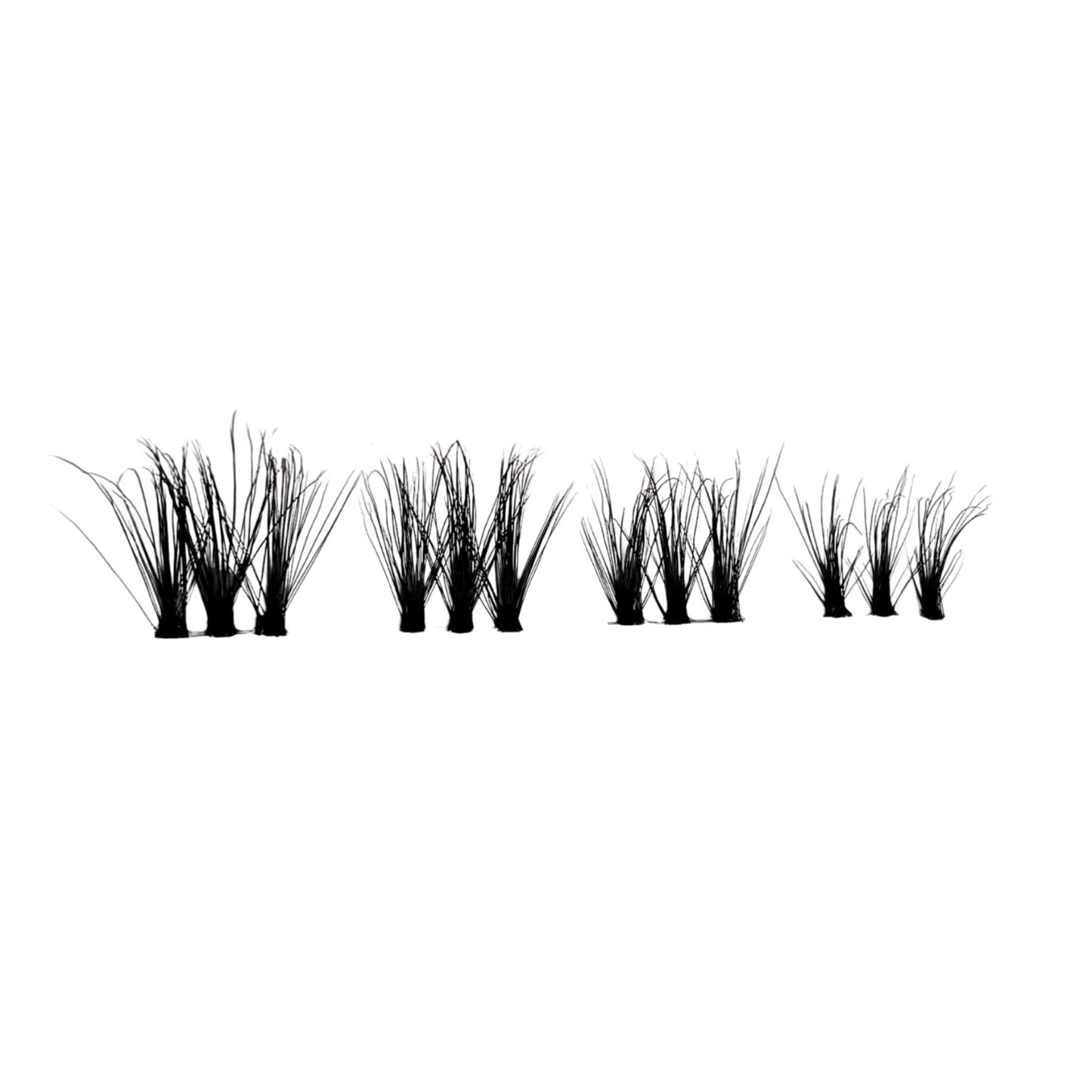 W2 | WISPY