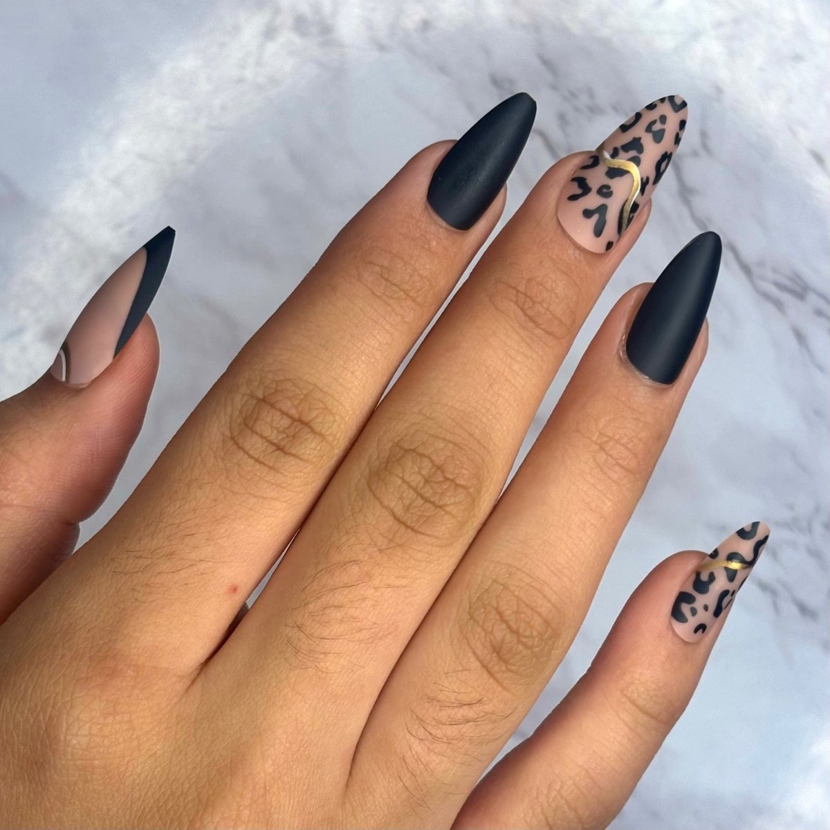 Wild Cougar - Lavaa Beauty