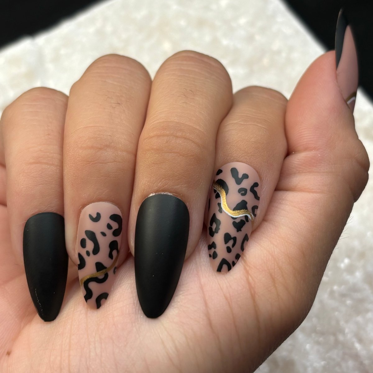 Wild Cougar - Lavaa Beauty