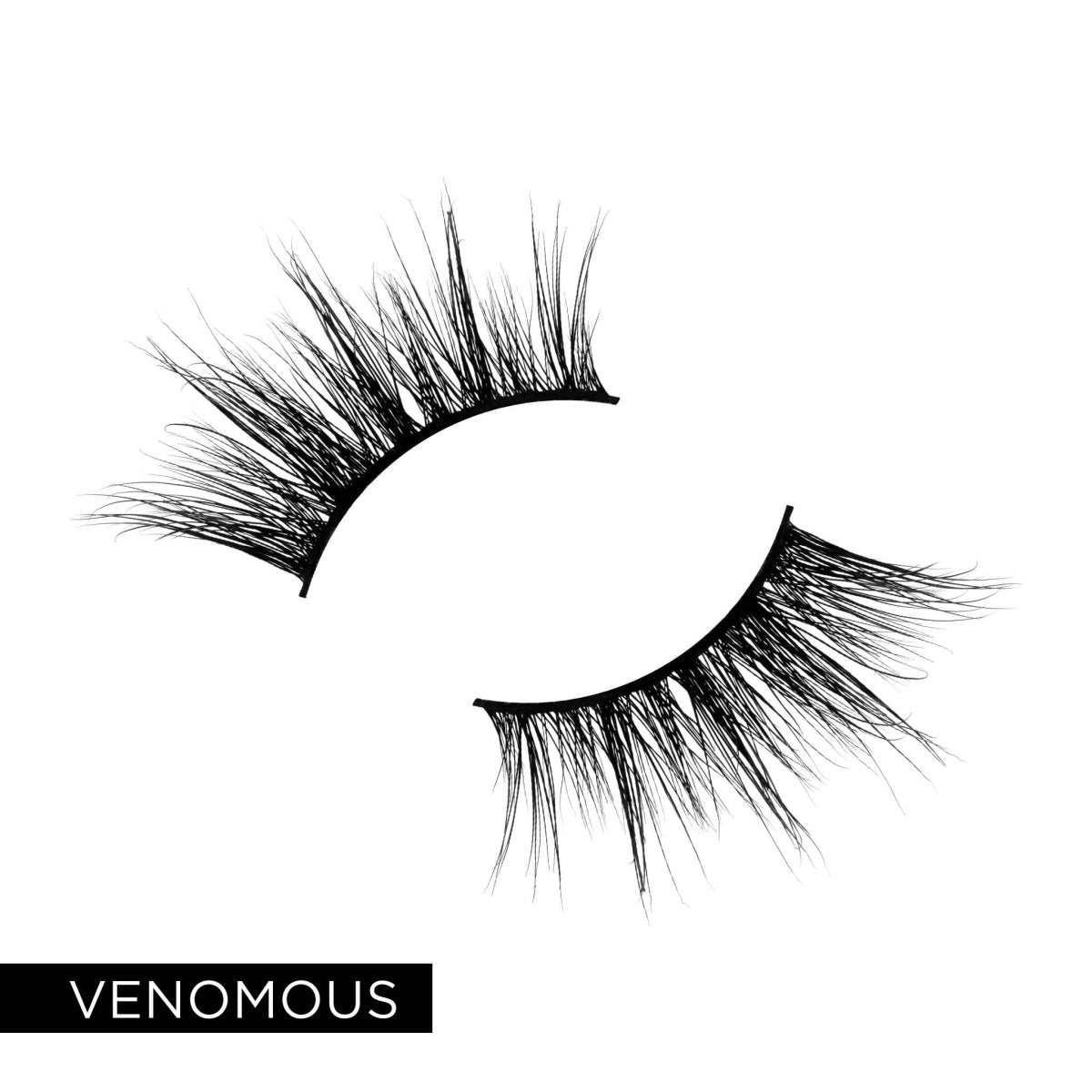 Corner Lash Trio - Lavaa Beauty