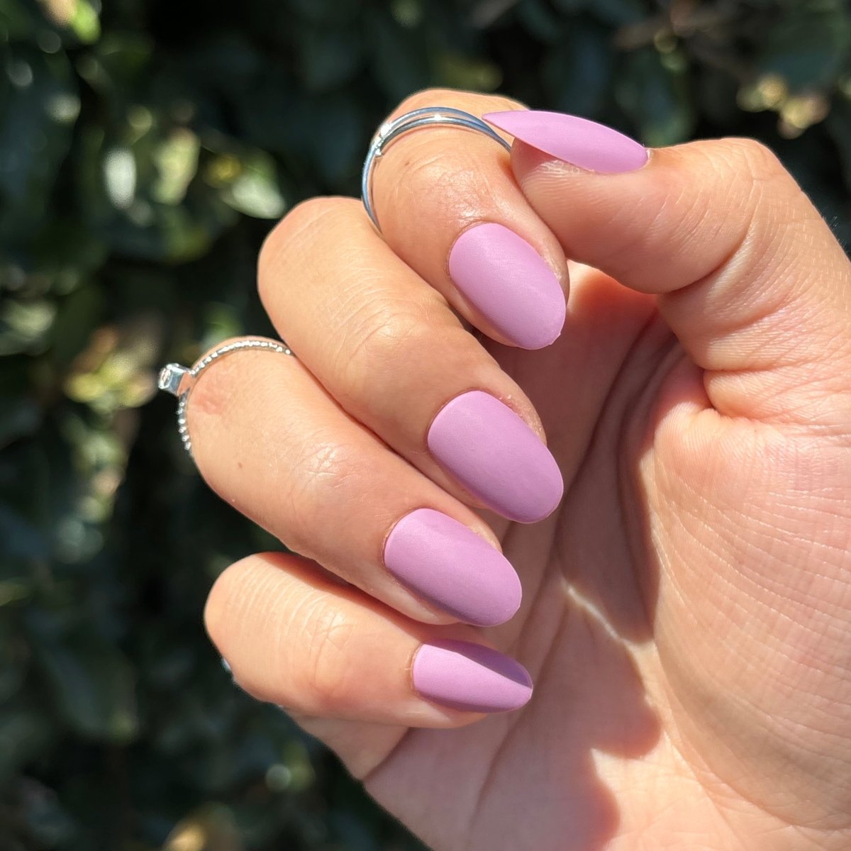 Lilac Round - Lavaa Beauty