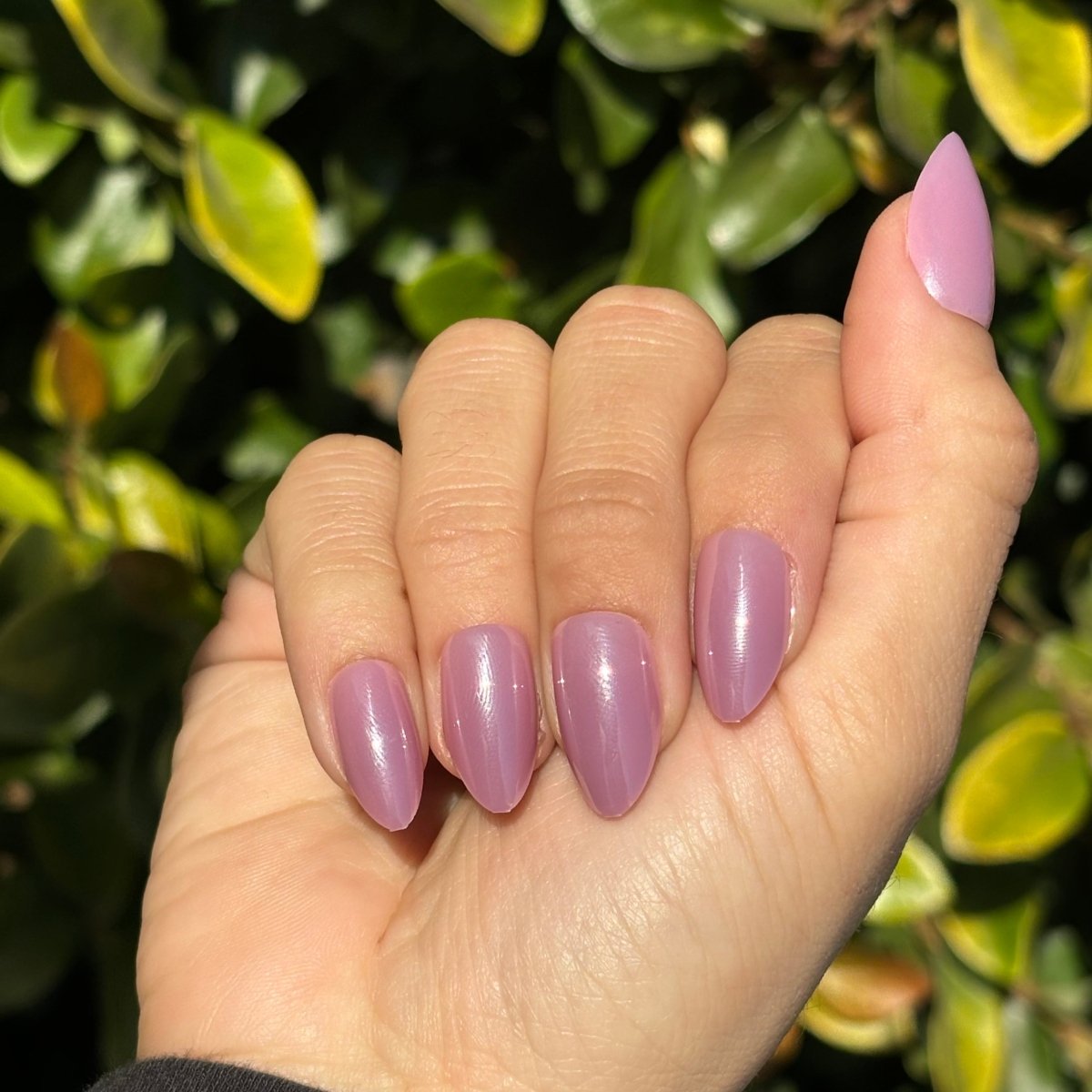 Pretty Girl - Lavaa Beauty