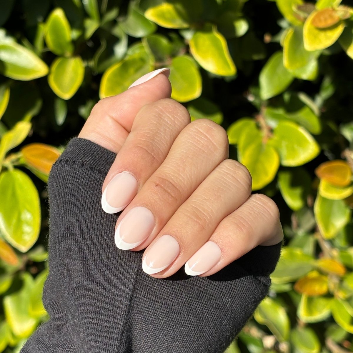 Well Rounded - Lavaa Beauty