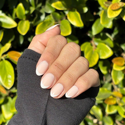 Well Rounded - Lavaa Beauty