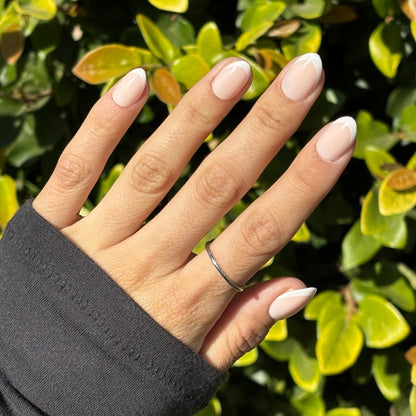 Well Rounded - Lavaa Beauty